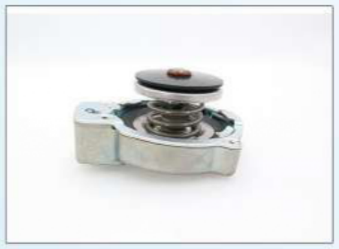 PC4GO-II CAPASSY 207-60-21220